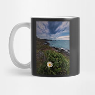 Wild Daisy Blooming on the Cliffs of Northern California Mug